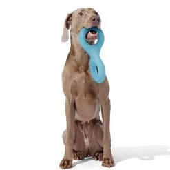 Bark Super Chewer Pully Dog Toy -Pet Essentials Shop 5331069 alt4