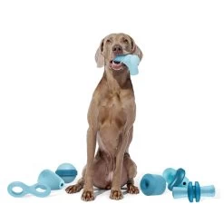 Bark Super Chewer Pully Dog Toy -Pet Essentials Shop 5331069 alt6