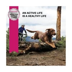 Eukanuba Large Breed Senior Dry Dog Food -Pet Essentials Shop 5334186 alt7