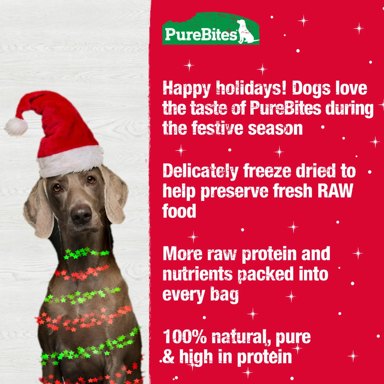 Purebites Holiday Turkey & Sweet Potato Dog Treat 5 Purebites Holiday Turkey & Sweet Potato Dog Treat - Image 5