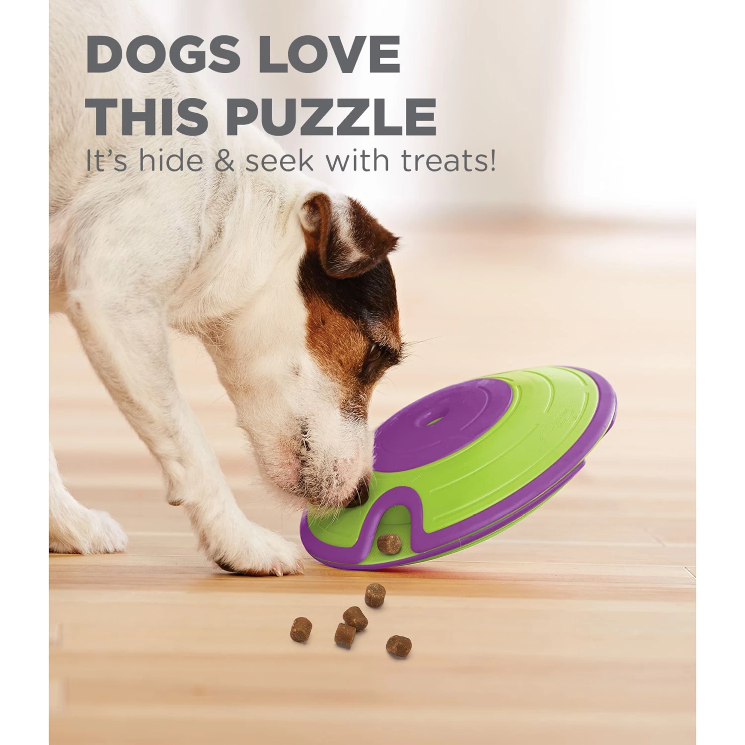 Outward Hound® Treat Maze Interactive Puzzle Dog Toy 5 Outward Hound® Treat Maze Interactive Puzzle Dog Toy - Image 5