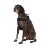 Top Paw® No-Pull Dog Harness