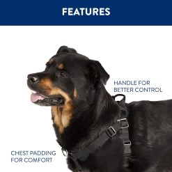 Top Paw® No-Pull Dog Harness 5 Top Paw® No-Pull Dog Harness -Pet Essentials Shop 5335314 alt2