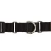 Top Paw® Non-Slip Martingale Dog Collar