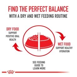 Royal Canin® Weight Care Medium Breed Dry Dog Food -Pet Essentials Shop 5336244 alt2