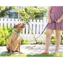 Pink Papyrus Nina Purple Ombre Rope Dog Leash: 4-ft Long -Pet Essentials Shop 5336738 alt5