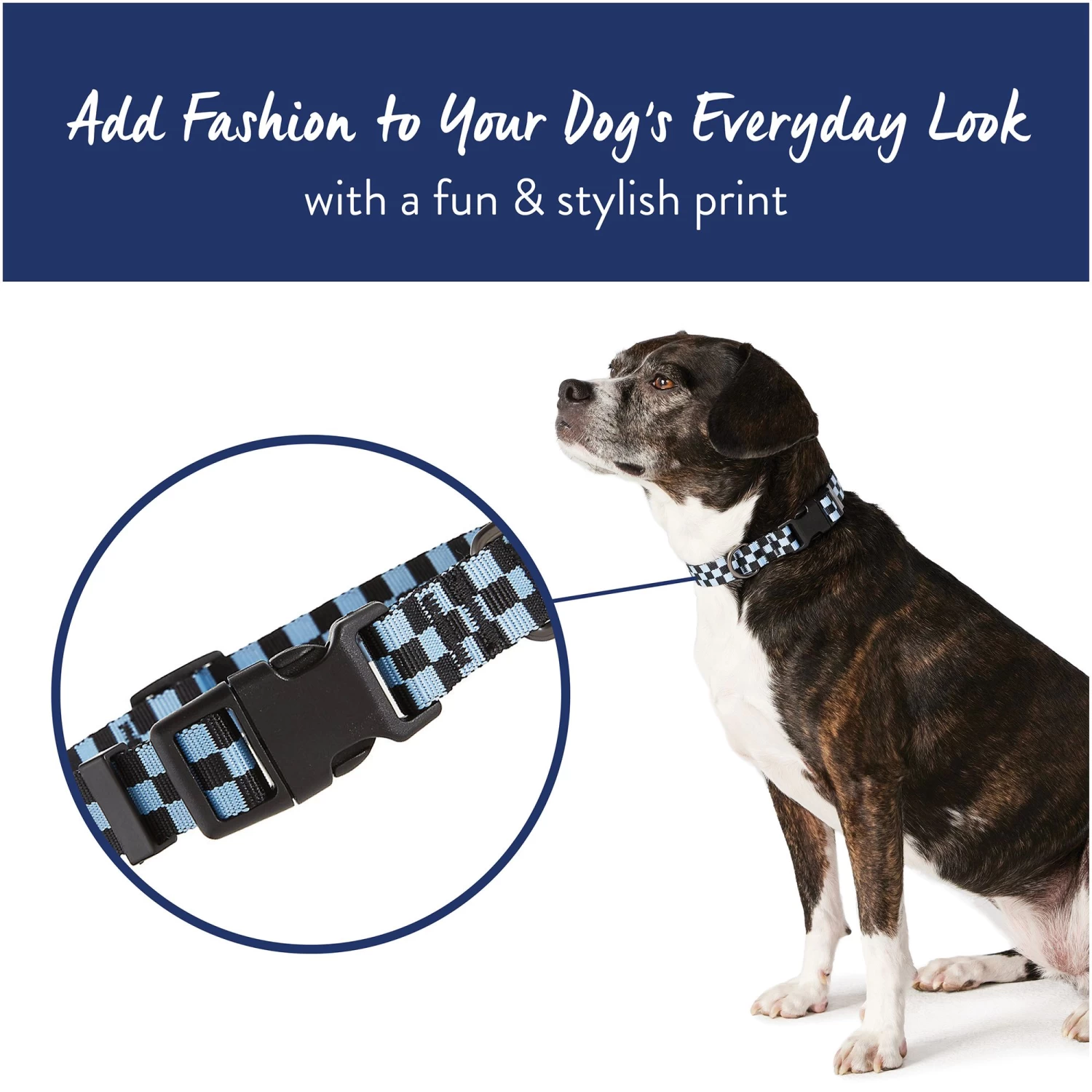 Top Paw® Checkered Dog Collar 2 Top Paw® Checkered Dog Collar - Image 2
