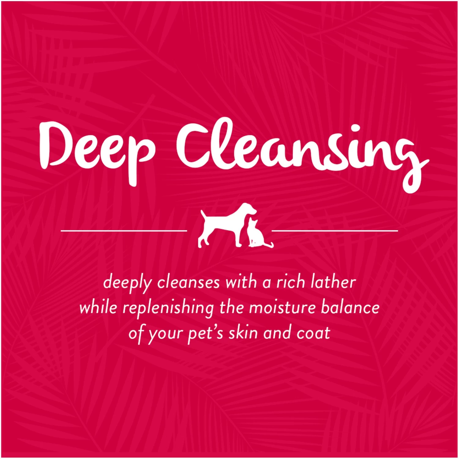 TropiClean® Rosewater Deep Cleansing Pet Shampoo - 20 Fl Oz 5 TropiClean® Rosewater Deep Cleansing Pet Shampoo - 20 Fl Oz - Image 5