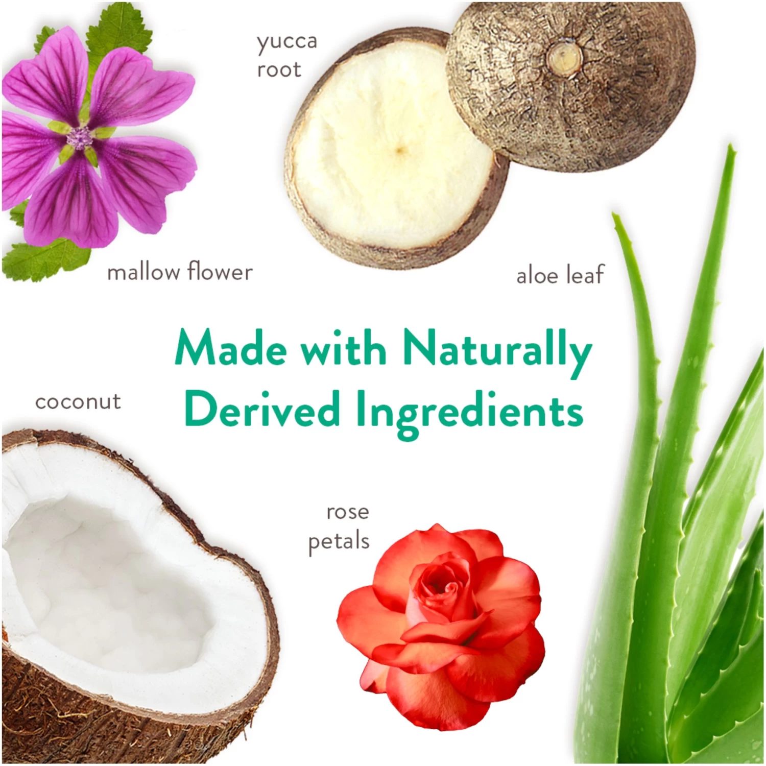 TropiClean® Rosewater Deep Cleansing Pet Shampoo - 20 Fl Oz 7 TropiClean® Rosewater Deep Cleansing Pet Shampoo - 20 Fl Oz - Image 7