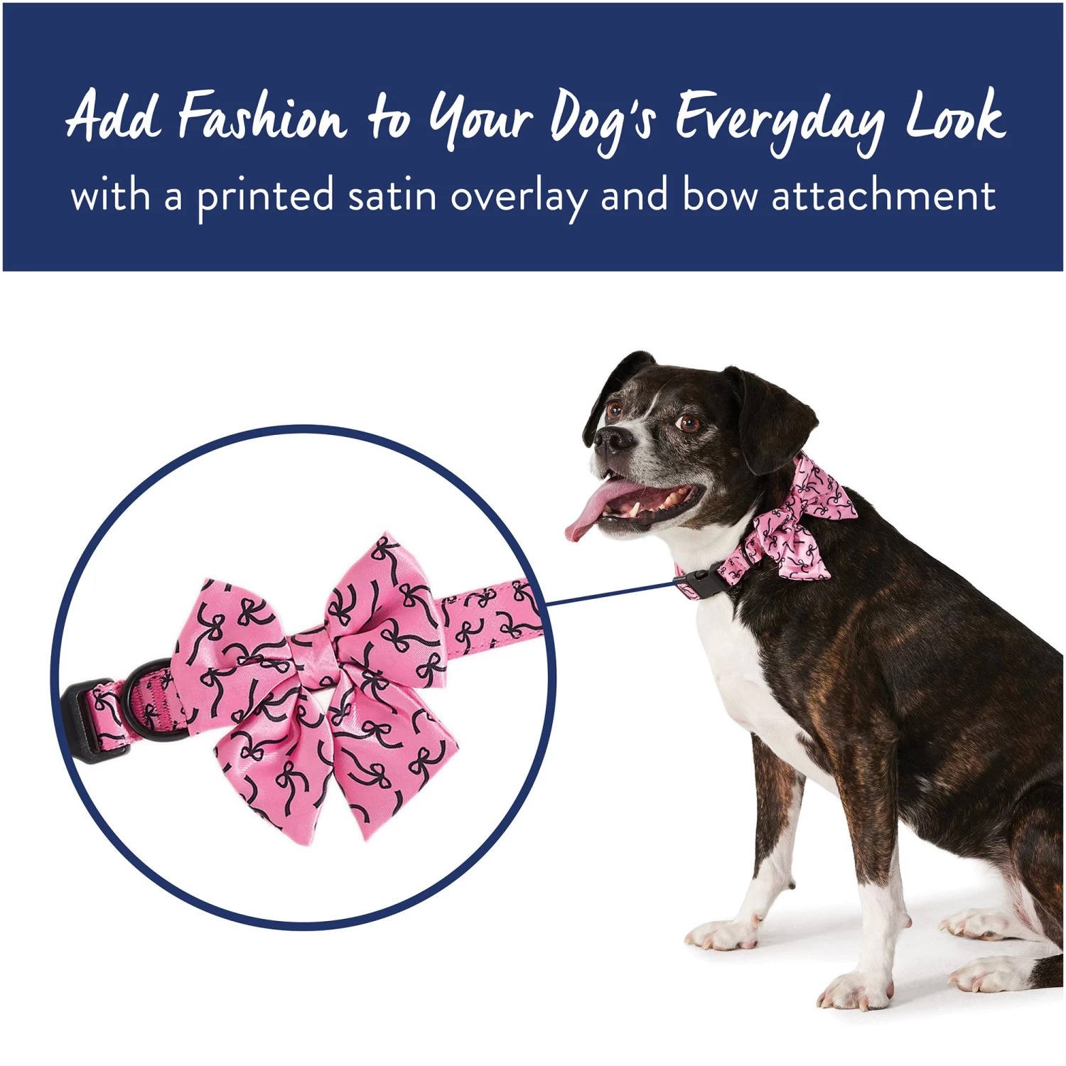 Top Paw® Pink Bows Dog Collar 2 Top Paw® Pink Bows Dog Collar - Image 2