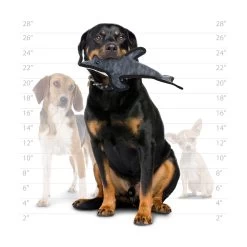 TUFFY® Dolphin Dog Toy - Tough Plush -Pet Essentials Shop 5337373 alt4