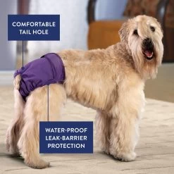 Top Paw® Washable Diapers - 3 Count -Pet Essentials Shop 5337421 alt2