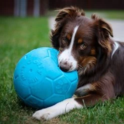Jolly Pets Soccer Ball Dog Toy 6 Jolly Pets Soccer Ball Dog Toy -Pet Essentials Shop 5337474 alt2