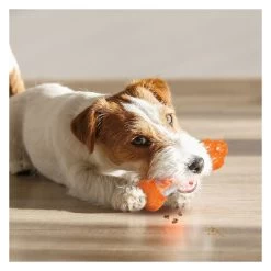 Nylabone® Sneaky Snacker Chew & Treat Dog Toy - Bacon Flavor -Pet Essentials Shop 5337702 alt3