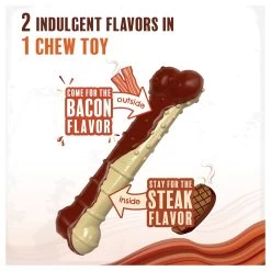 Nylabone® Power Chew Basted Blast Dog Toy - 2 Pack, Bacon & Steak Flavor 10 Nylabone® Power Chew Basted Blast Dog Toy - 2 Pack, Bacon & Steak Flavor -Pet Essentials Shop 5337704 alt2