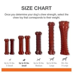 Nylabone® Power Chew Basted Blast Dog Toy - 2 Pack, Bacon & Steak Flavor 13 Nylabone® Power Chew Basted Blast Dog Toy - 2 Pack, Bacon & Steak Flavor -Pet Essentials Shop 5337704 alt5