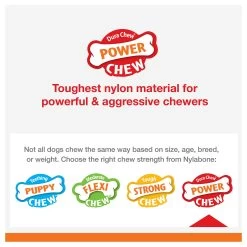 Nylabone® Power Chew Basted Blast Dog Toy - 2 Pack, Bacon & Steak Flavor 15 Nylabone® Power Chew Basted Blast Dog Toy - 2 Pack, Bacon & Steak Flavor -Pet Essentials Shop 5337704 alt7