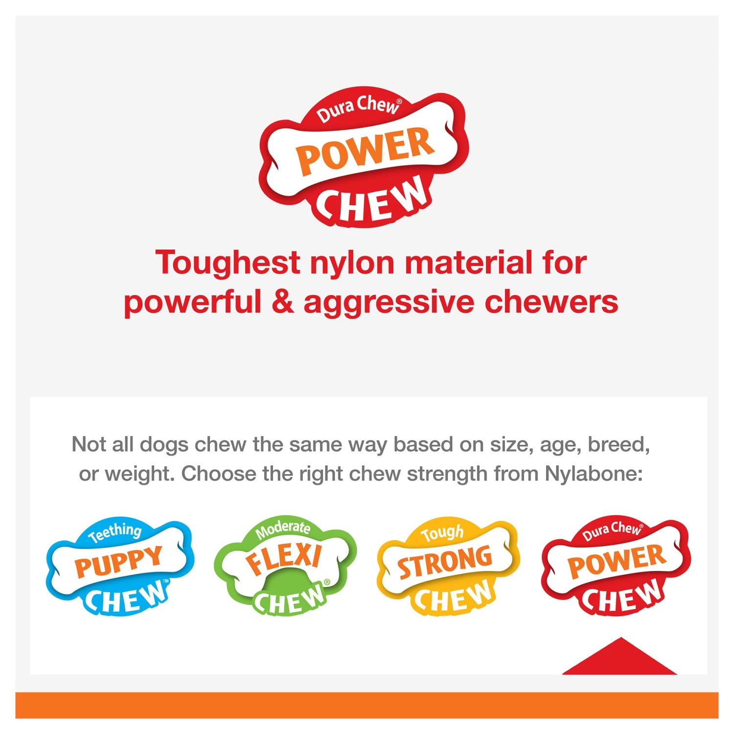 Nylabone® Power Chew Basted Blast Dog Toy - Bacon & Steak Flavor 8 Nylabone® Power Chew Basted Blast Dog Toy - Bacon & Steak Flavor - Image 8