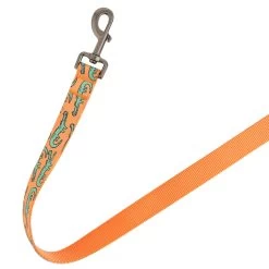 Top Paw® Orange Alligator Dog Leash: 4-ft Long, 1-in Wide -Pet Essentials Shop 5337980 alt4