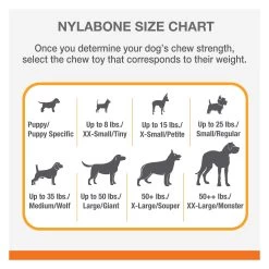 Nylabone® Puppy Chew Rubber Teether Dog Toy - Vanilla Flavor -Pet Essentials Shop 5338095 alt6