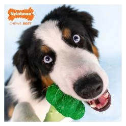Nylabone® Power Chew Broccoli "Brocc' On!" Dog Toy - Bacon & Cheese Flavor -Pet Essentials Shop 5338096 alt3