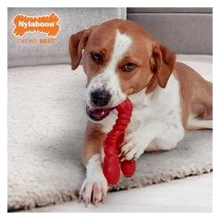 Nylabone® Power Chew Lobster "I'm Claw-some!" Dog Toy - Filet Mignon Flavor 9 Nylabone® Power Chew Lobster "I'm Claw-some!" Dog Toy - Filet Mignon Flavor -Pet Essentials Shop 5338097 alt3