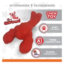 Nylabone® Power Chew Lobster "I'm Claw-some!" Dog Toy - Filet Mignon Flavor 10 Nylabone® Power Chew Lobster "I'm Claw-some!" Dog Toy - Filet Mignon Flavor -Pet Essentials Shop 5338097 alt4