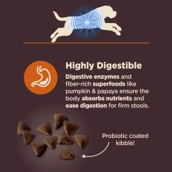 Wellness Core Digestive Health Large Breed Adult Dry Dog Food - Chicken & Brown Rice -Pet Essentials Shop 5338139 alt5