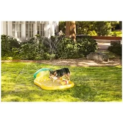 Top Paw® Pineapple Summer Splash Pad