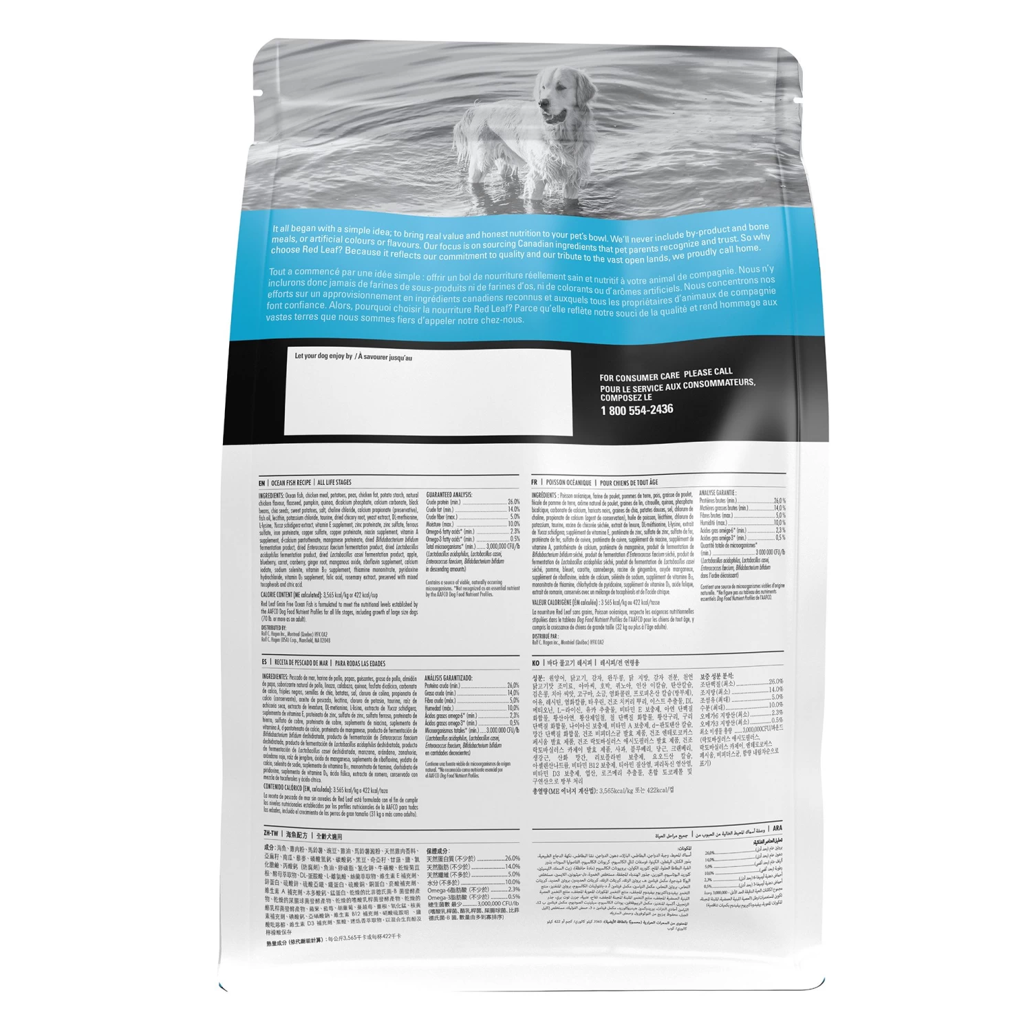 Red Leaf Grain Free Dry Dog Food - Ocean Fish, Omega Fatty Acids 2 Red Leaf Grain Free Dry Dog Food - Ocean Fish, Omega Fatty Acids - Image 2