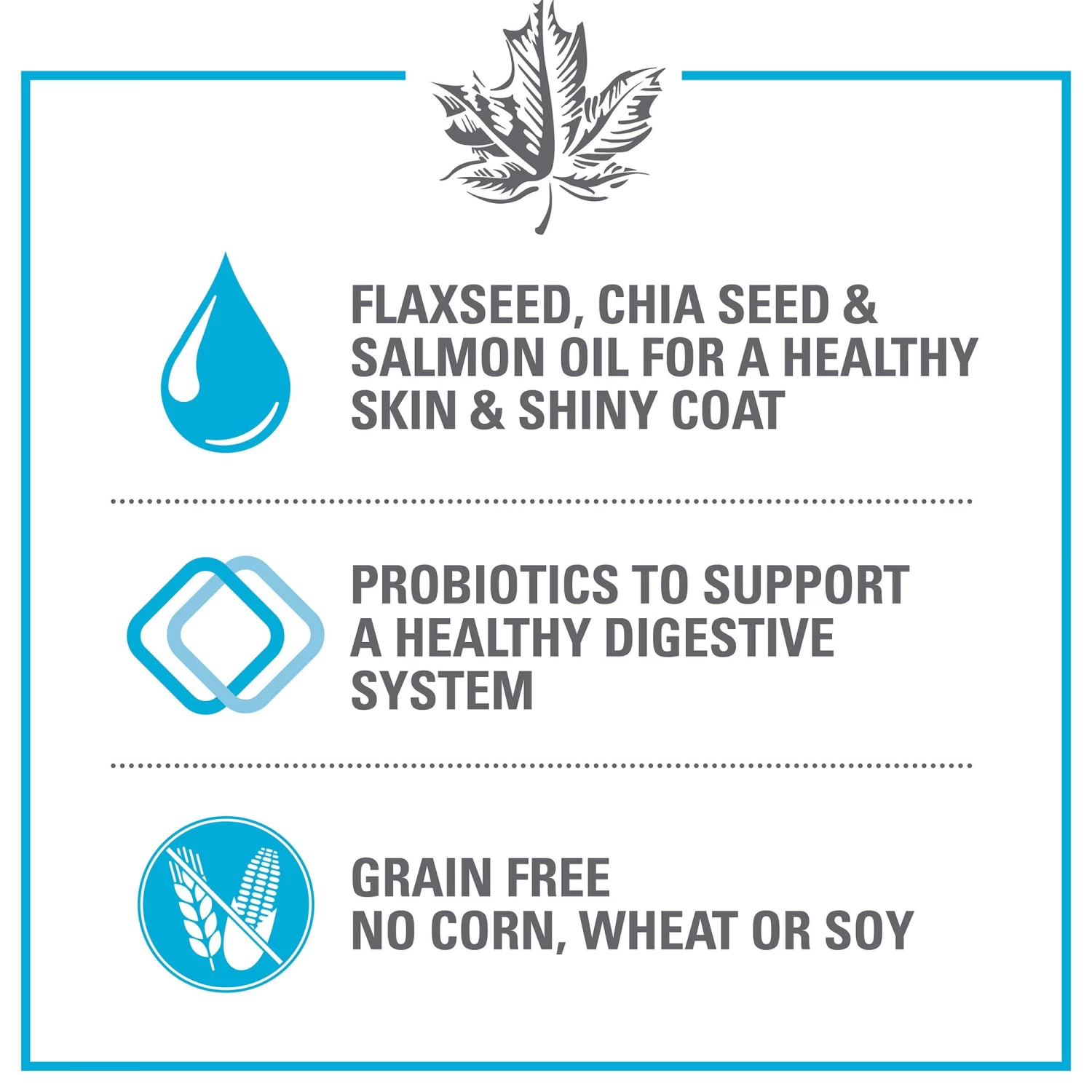 Red Leaf Grain Free Dry Dog Food - Ocean Fish, Omega Fatty Acids 3 Red Leaf Grain Free Dry Dog Food - Ocean Fish, Omega Fatty Acids - Image 3