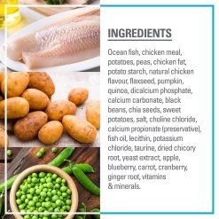 Red Leaf Grain Free Dry Dog Food - Ocean Fish, Omega Fatty Acids 9 Red Leaf Grain Free Dry Dog Food - Ocean Fish, Omega Fatty Acids -Pet Essentials Shop 5338464 alt3