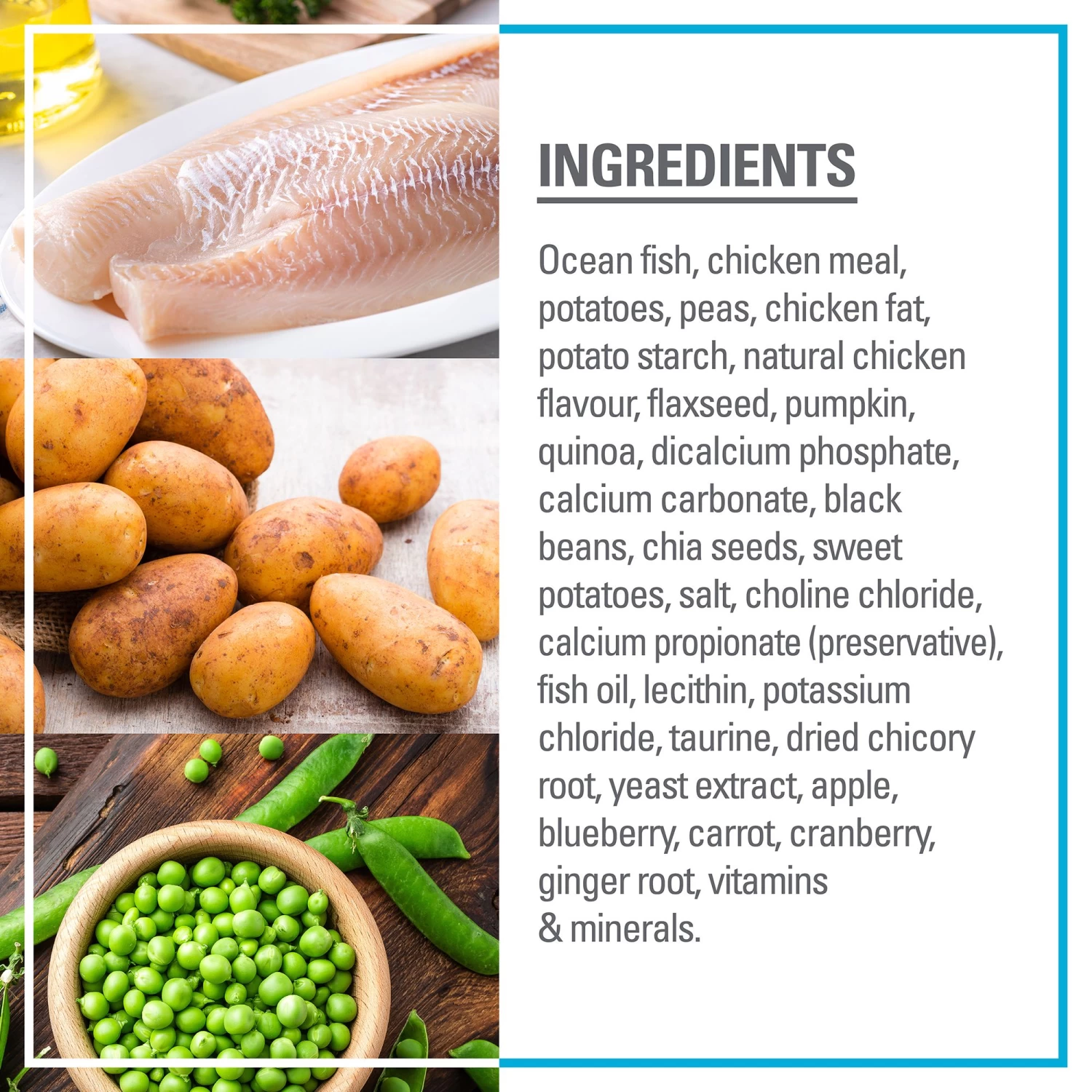 Red Leaf Grain Free Dry Dog Food - Ocean Fish, Omega Fatty Acids 4 Red Leaf Grain Free Dry Dog Food - Ocean Fish, Omega Fatty Acids - Image 4