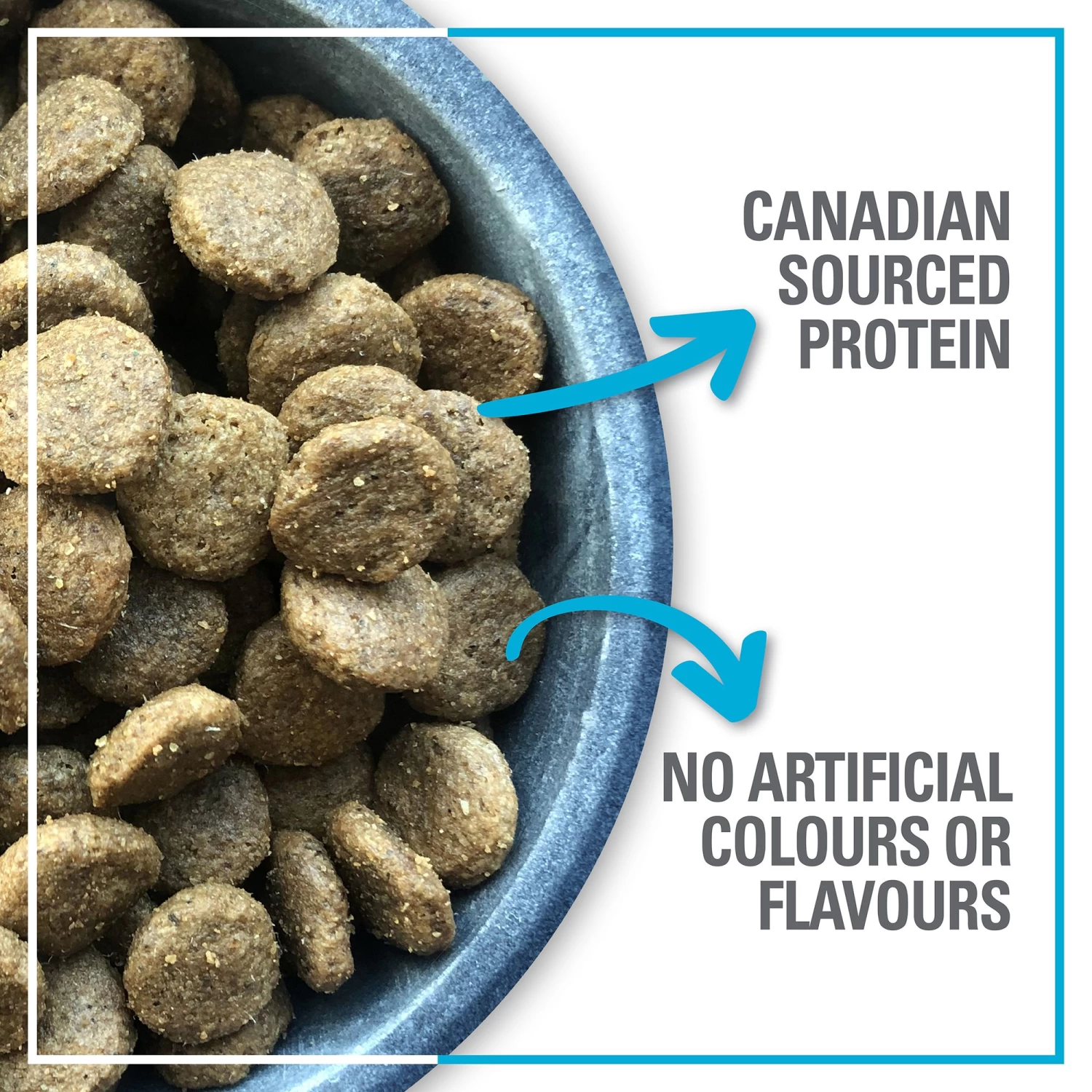 Red Leaf Grain Free Dry Dog Food - Ocean Fish, Omega Fatty Acids 5 Red Leaf Grain Free Dry Dog Food - Ocean Fish, Omega Fatty Acids - Image 5