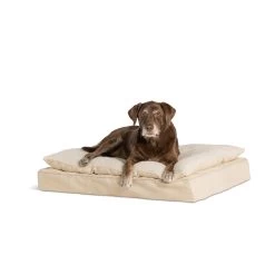 Top Paw® Tan Pillow Top Dog Bed