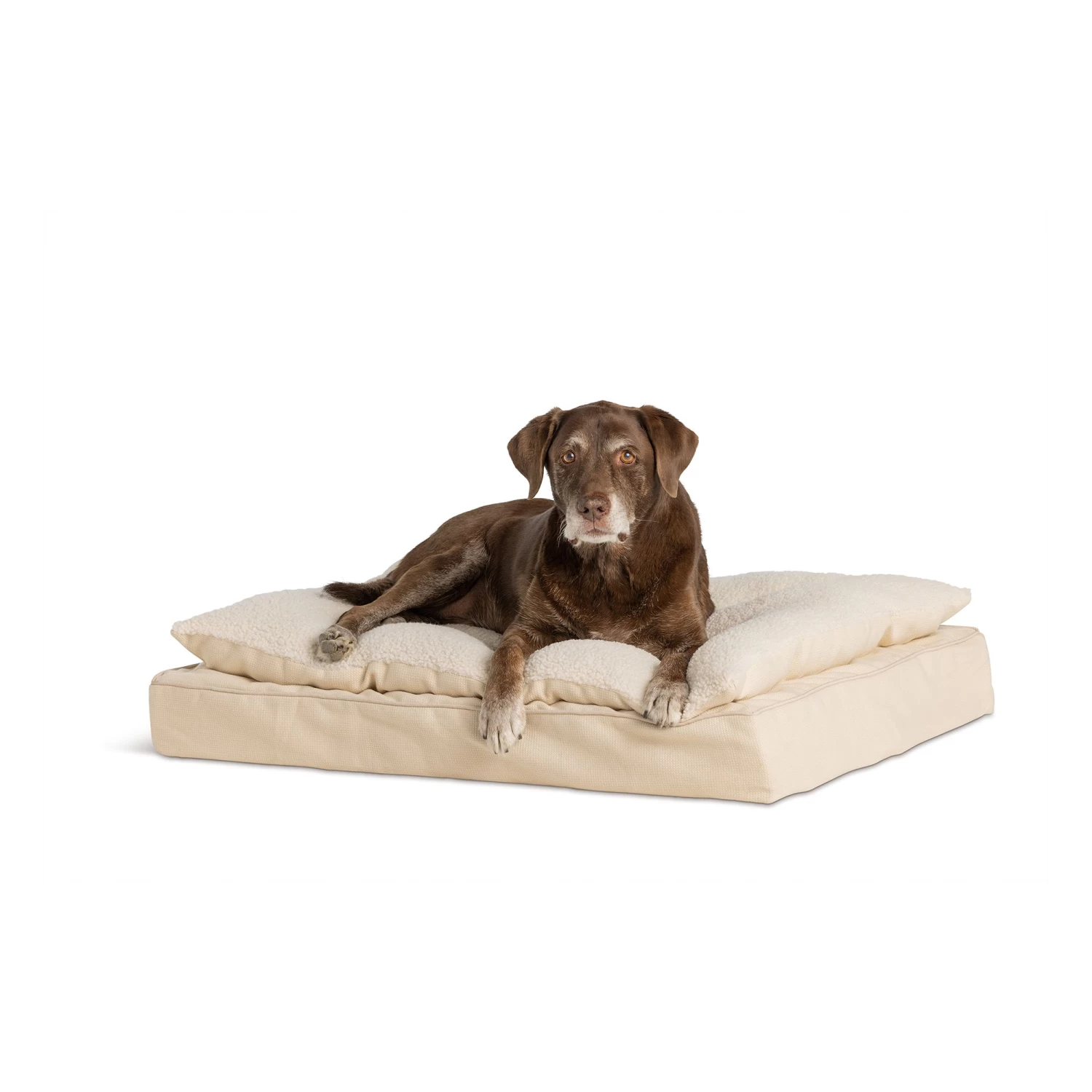 Top Paw® Tan Pillow Top Dog Bed 1 Top Paw® Tan Pillow Top Dog Bed