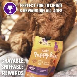 Wellness Soft Puppy Bites Dog Treats - Natural, Lamb & Salmon -Pet Essentials Shop 5338798 alt4