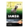 IAMS Advanced Health Adult Dry Dog Food - Skin & Coat Care, Chicken & Salmon