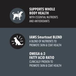 IAMS Advanced Health Adult Dry Dog Food - Skin & Coat Care, Chicken & Salmon -Pet Essentials Shop 5338929 alt2