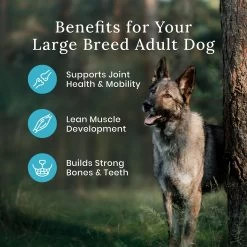 Blue Buffalo® Wilderness™ Large Breed Adult Dry Dog Food - Natural, High Protein, Chicken 11 Blue Buffalo® Wilderness™ Large Breed Adult Dry Dog Food - Natural, High Protein, Chicken -Pet Essentials Shop 5339246 alt4