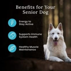 Blue Buffalo® Wilderness&trade; Senior Dry Dog Food - Natural, High Protein, Chicken -Pet Essentials Shop 5339250 alt4