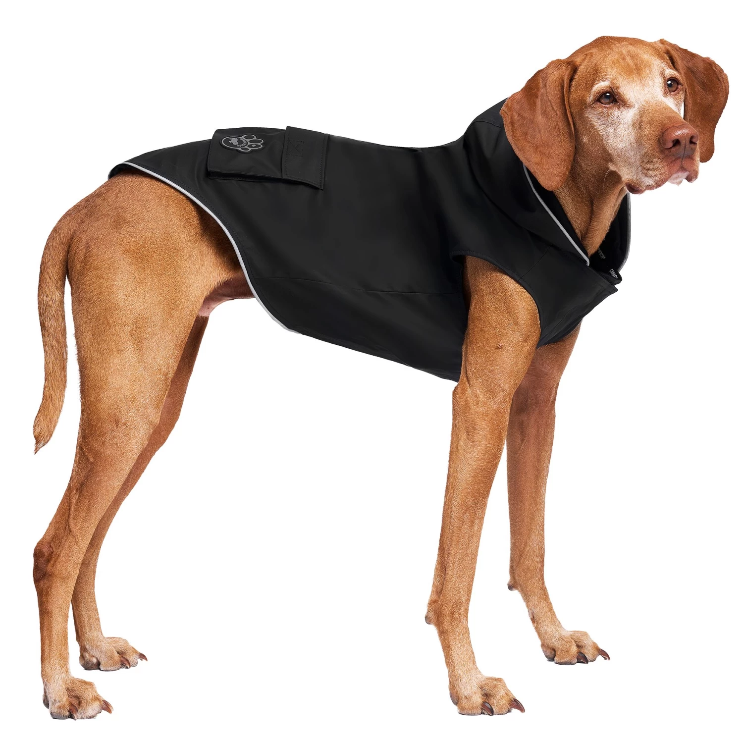 Canada Pooch Water Resistant Torrential Tracker Dog Raincoat - Black 3 Canada Pooch Water Resistant Torrential Tracker Dog Raincoat - Black - Image 3