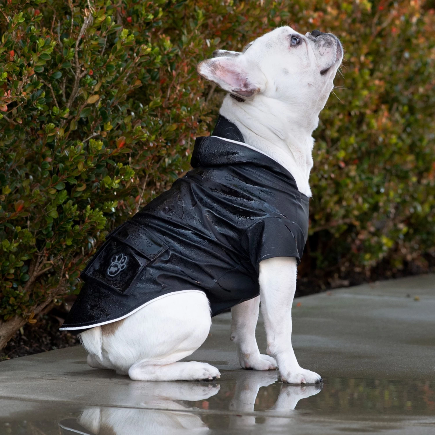 Canada Pooch Water Resistant Torrential Tracker Dog Raincoat - Black 4 Canada Pooch Water Resistant Torrential Tracker Dog Raincoat - Black - Image 4