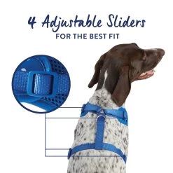 Top Paw® Blue Bones Dog Harness -Pet Essentials Shop 5339939 alt3