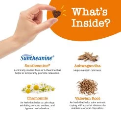 Zesty Paws All Life Stages Dog Calming Bites - Relaxation 7 Zesty Paws All Life Stages Dog Calming Bites - Relaxation -Pet Essentials Shop 5339995 alt3