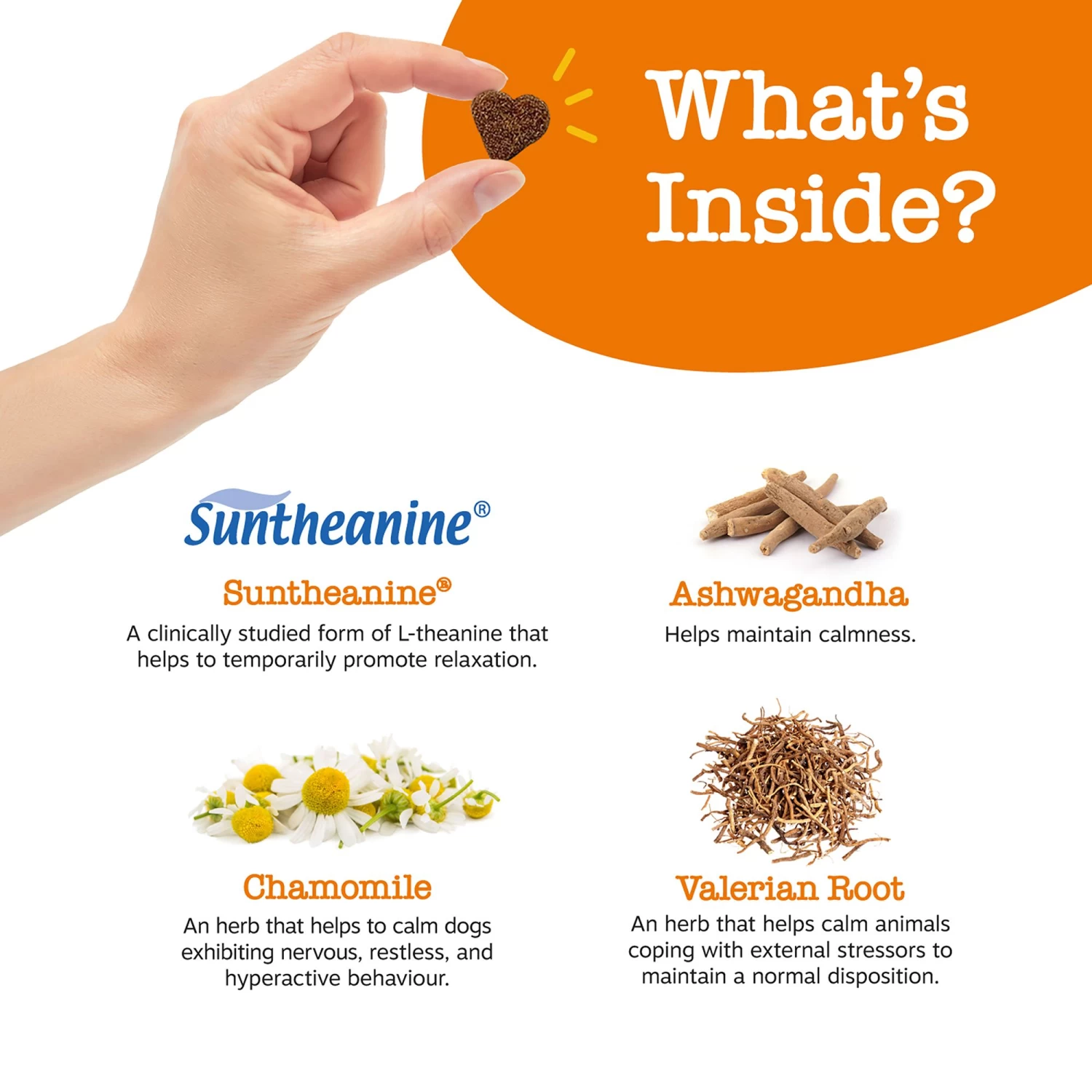 Zesty Paws All Life Stages Dog Calming Bites - Relaxation 4 Zesty Paws All Life Stages Dog Calming Bites - Relaxation - Image 4