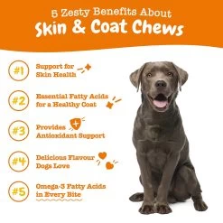 Pet Essentials Shop -Pet Essentials Shop 5339998 alt1