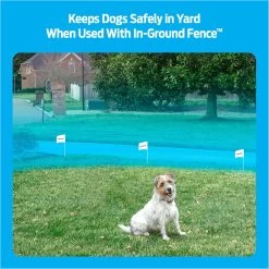 Premier® Premier Pet In-Ground Add-A-Dog Collar 8 Premier® Premier Pet In-Ground Add-A-Dog Collar -Pet Essentials Shop 5340082 alt2