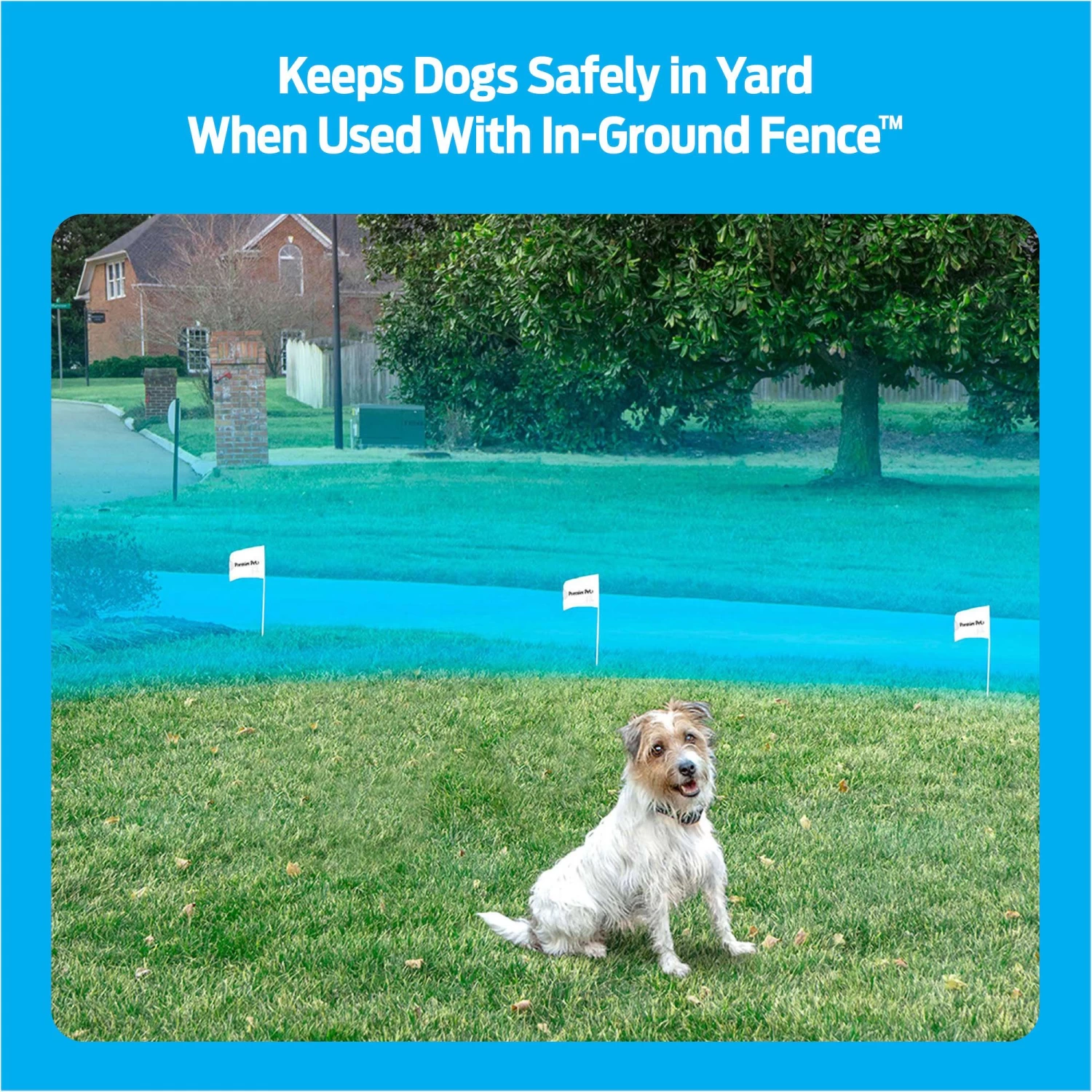 Premier® Premier Pet In-Ground Add-A-Dog Collar 3 Premier® Premier Pet In-Ground Add-A-Dog Collar - Image 3