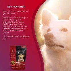 Foley's VitalityDog Crunchy Baked Dog Treats - Bison With Saskatoon Berries 7 Foley's VitalityDog Crunchy Baked Dog Treats - Bison With Saskatoon Berries -Pet Essentials Shop 5340087 alt3